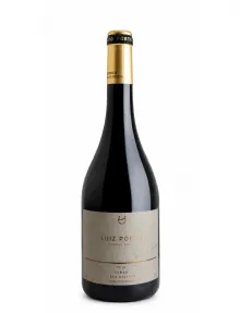 Gravas del Maipo Syrah by Concha y Toro Vinho Chileno, Syrah